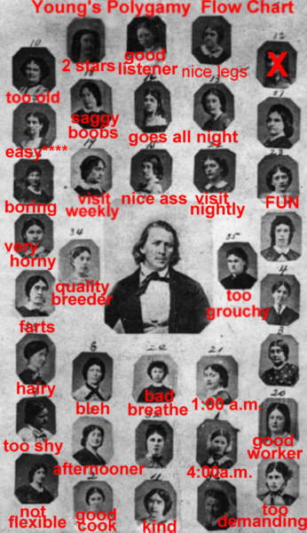 Brigham Young's polygamy flow chart.